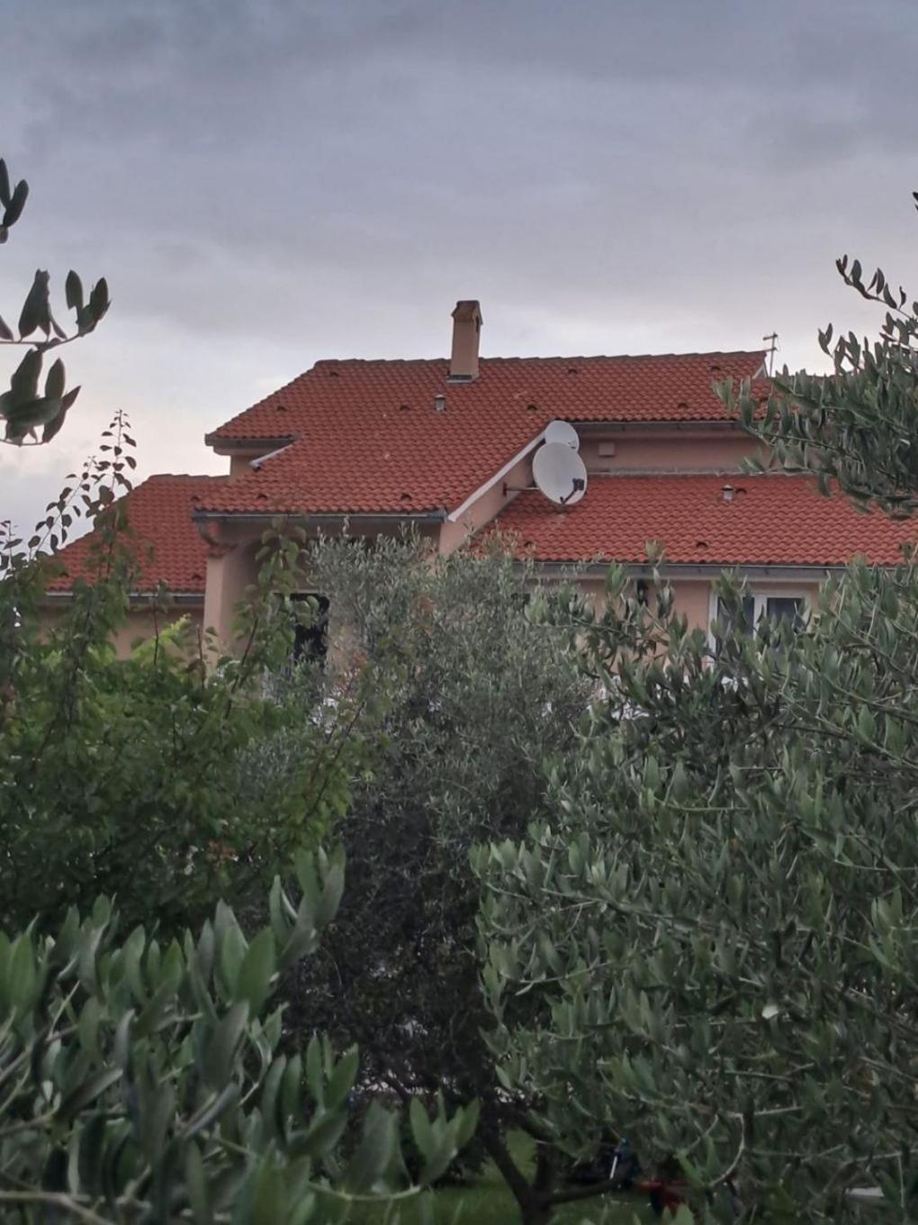 Apartments Mig - With Beautiful Garden Supetarska Draga Εξωτερικό φωτογραφία